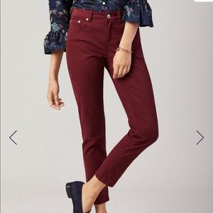 Loft plum velvet pants